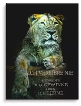 Картина на холсте ArtMind Ich gewinne oder lerne, многоцветный