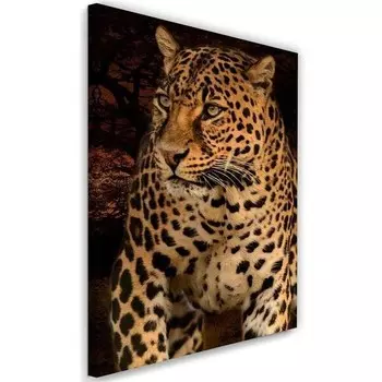 Картина на холсте Feeby Leopard Wildtiere Natur, коричневый