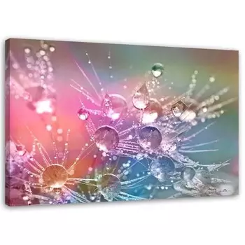 Картина на холсте Feeby Pusteblume Pflanze Rosa, фиолетовый