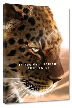 Картина на холсте Hustling Sharks Run Faster, оранжевый