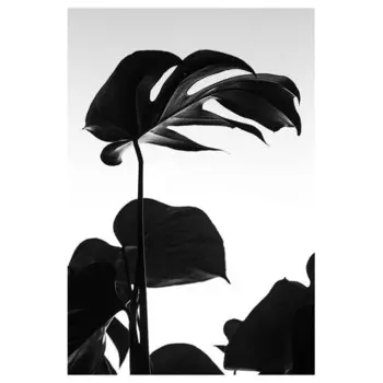 Картина на холсте LegendArte Groe Bltter, серый