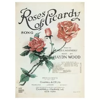 Картина на холсте LegendArte Roses of Picardy, многоцветный