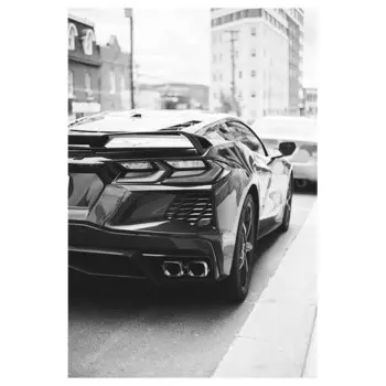 Картина на холсте LegendArte Sportautos No. 9, серый