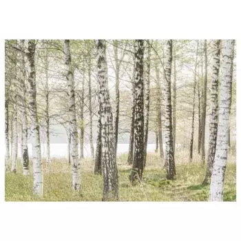 Картина, разноцветная, 200х140 см, берёза BJRKSTA IKEA