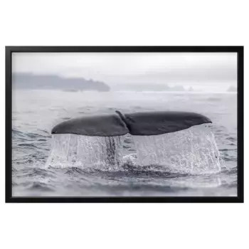 Картина в рамке, разноцветная, 118х78 см, хвост кита, черная BJRKSTA IKEA