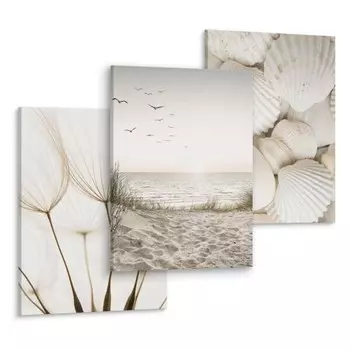 Картины на холсте Muralo Set Meer Muscheln Natur цвет beige/braun/grau