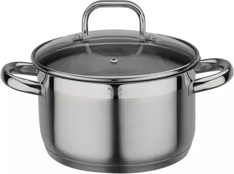 Кастрюля для мяса GSW "Fogo", нержавеющая сталь 18/8, (1 шт.), индукция 3,5 л + 20 см + высота 11,5 см, цвет edelstahlfarben