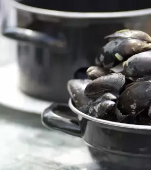 Кастрюля Emilja