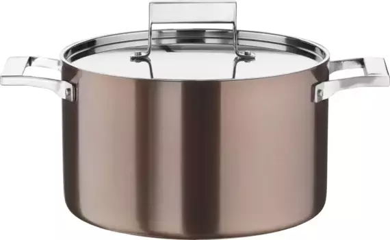 Кастрюля PINTINOX "Century", нержавеющая сталь 18/0-алюминий-нержавеющая сталь 18/0, (1 шт.), дно и боковые стенки полностью из 3-слойного материала, индукционная 24 см + высота 14 см, цвет altkupferfarben