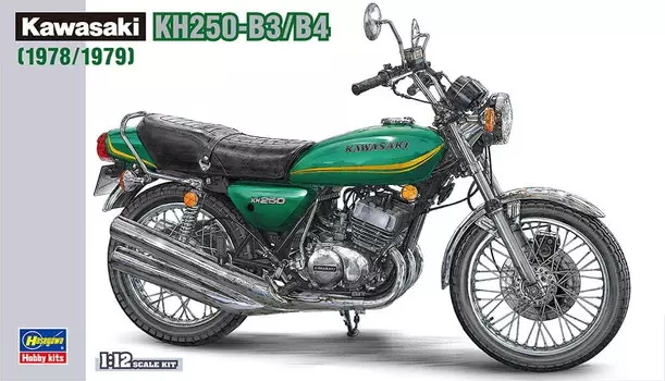 Кавасаки Kh250-B3/B4 1:12 Хасэгава Bk8 HASEGAWA