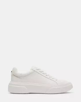 Кеды Bergen Steve Madden, белый