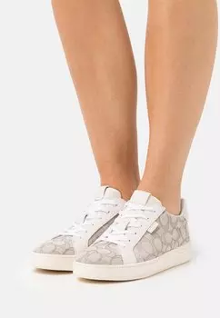 Кеды Coach