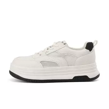 Кеды DAPHNE Skateboard Shoes Women's Low-Top