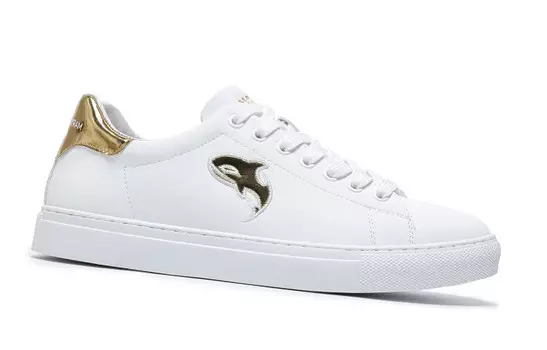 Кеды мужские, обувь для скейтбординга низкая белый Fairwhale