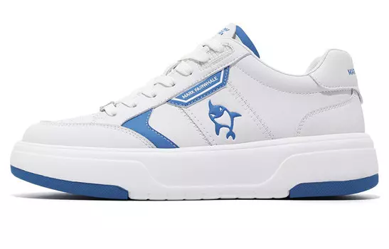 Кеды мужские, обувь для скейтбординга низкая белый Fairwhale