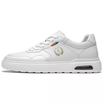 Кеды мужские, обувь для скейтбординга низкая белый Roberta Di Camerino