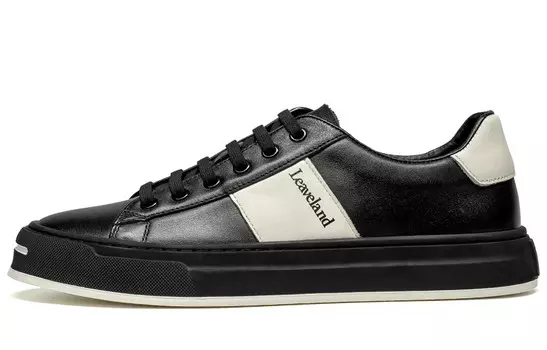 Кеды мужские, обувь для скейтбординга низкая Leaveland, черный