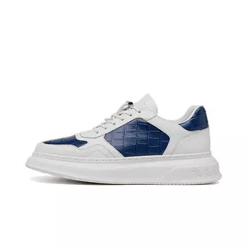 Кеды мужские, обувь для скейтбординга низкая Vicki Brown, синий