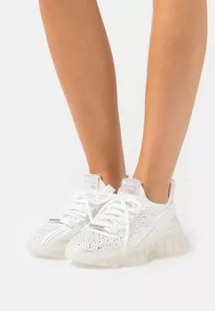 Кеды Steve Madden