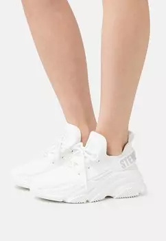 Кеды Steve Madden PROTEGE, цвет White