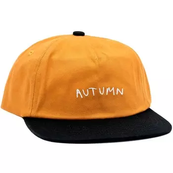 Кепка Autumn Two Tone Twill Snapback, цвет Work Brown