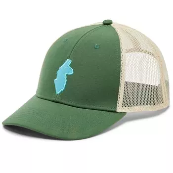 Кепка Cotopaxi Llama Trucker, цвет Forest