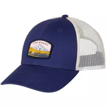 Кепка Cotopaxi Llamascape, синий