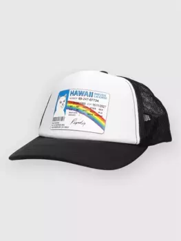 Кепка дальнобойщика Mcfuckin Ripndip, черный