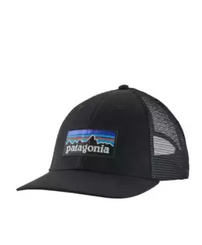Кепка дальнобойщика с логотипом Patagonia, черный