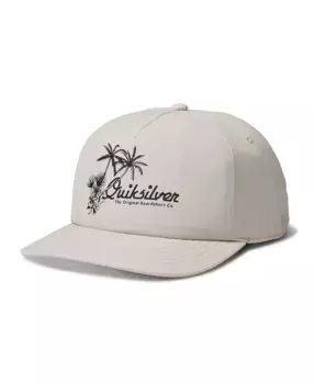 Кепка Founders для мужчин Quiksilver, серебряный