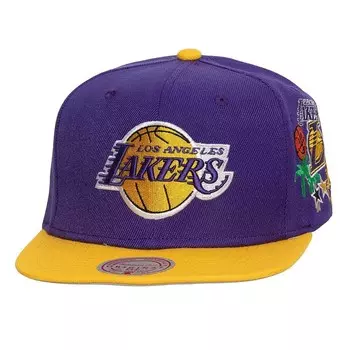 Кепка NBA HARDWOOD ClassicS Los Angeles Lakers Overload Snapback Mitchell and Ness, черный