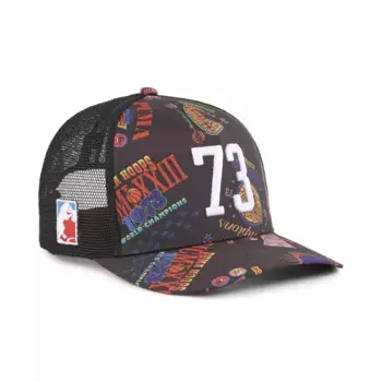 Кепка PUMA Flex Cap "Basketball Trucker Cap II Adult", черный