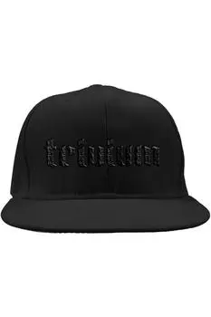 Кепка Snapback с логотипом Trivium, черный