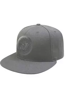 Кепка Snapback с президентской печатью Ramones, серый