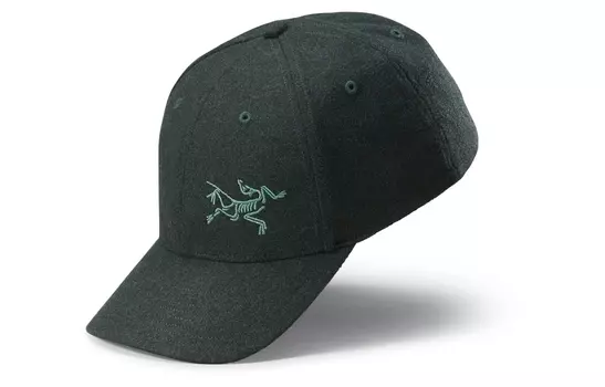 Кепка Arcteryx с логотипом, черный / зеленый