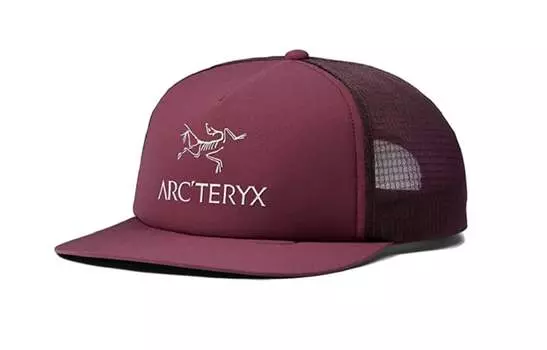 Кепка Arcteryx, фиолетовый
