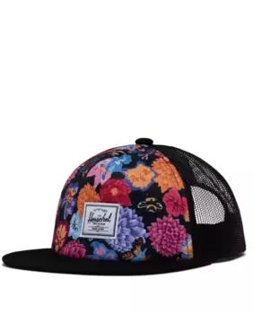 Кепка унисекс из ткани с принтом Herschel, мультиколор
