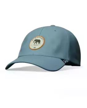 Кепка-унисекс с изображением слона сине-желтого цвета The Indian Face, мультиколор