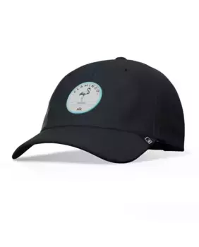 Кепка унисекс сине-черного цвета Flamingo The Indian Face, мультиколор