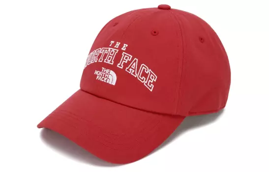 Кепка унисекс THE NORTH FACE