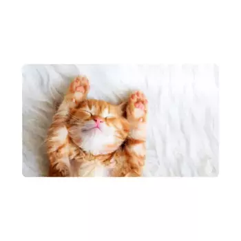 Китти, Kraken Gamematz