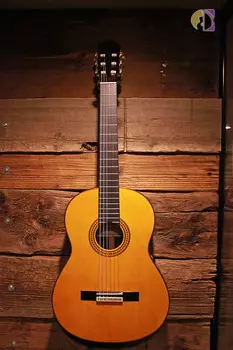 Классическая акустическая гитара Yamaha GC22S, натуральная, верхняя дека из массива ели с футляром (SN-114)