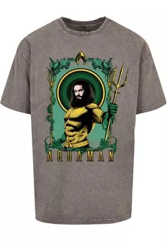 Классическая футболка ABSOLUTE CULT Shirt Aquamam -Trident, серый
