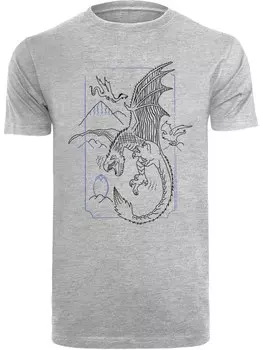 Классическая футболка F4NT4STIC Shirt Harry Potter Dragon Line Art, серый