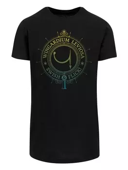 Классическая футболка F4NT4STIC Shirt Harry Potter Wingardium Leviosa Spells Charms, черный