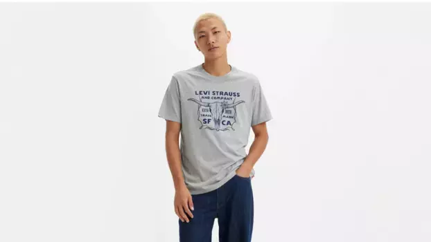 Классическая футболка с графическим рисунком Levi's, серый