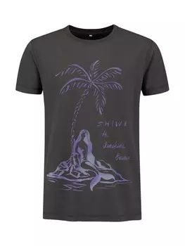 Классическая футболка Shiwi Shirt, антрацит