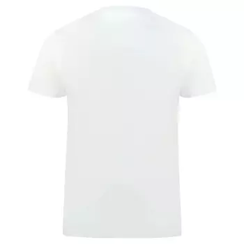 Классическая мужская хлопковая футболка с логотипом Aquascutum и флагом, белый