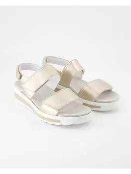 Классические босоножки Semler, золотой