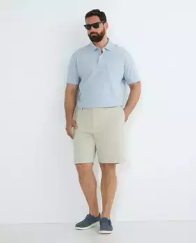 Классические китайские мужские шорты больших размеров Polo Ralph Lauren, цвет Piedra